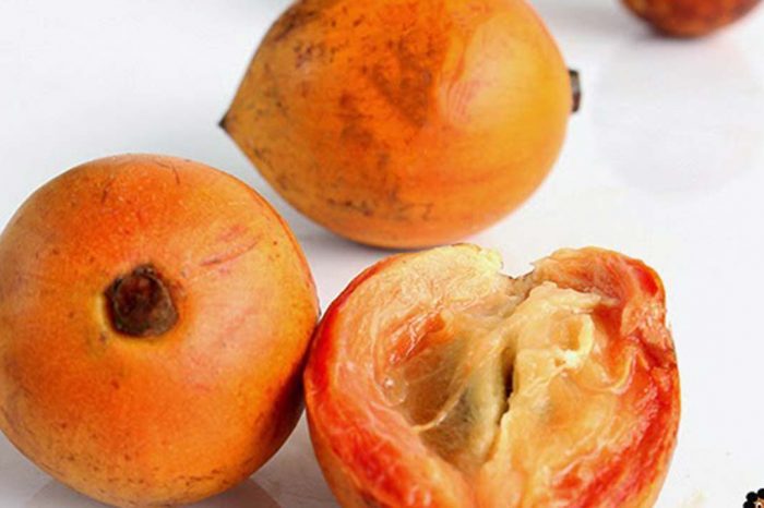 The Amazing Benefits Of Agbalumo You Don't Know