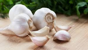 Image of a Garlic